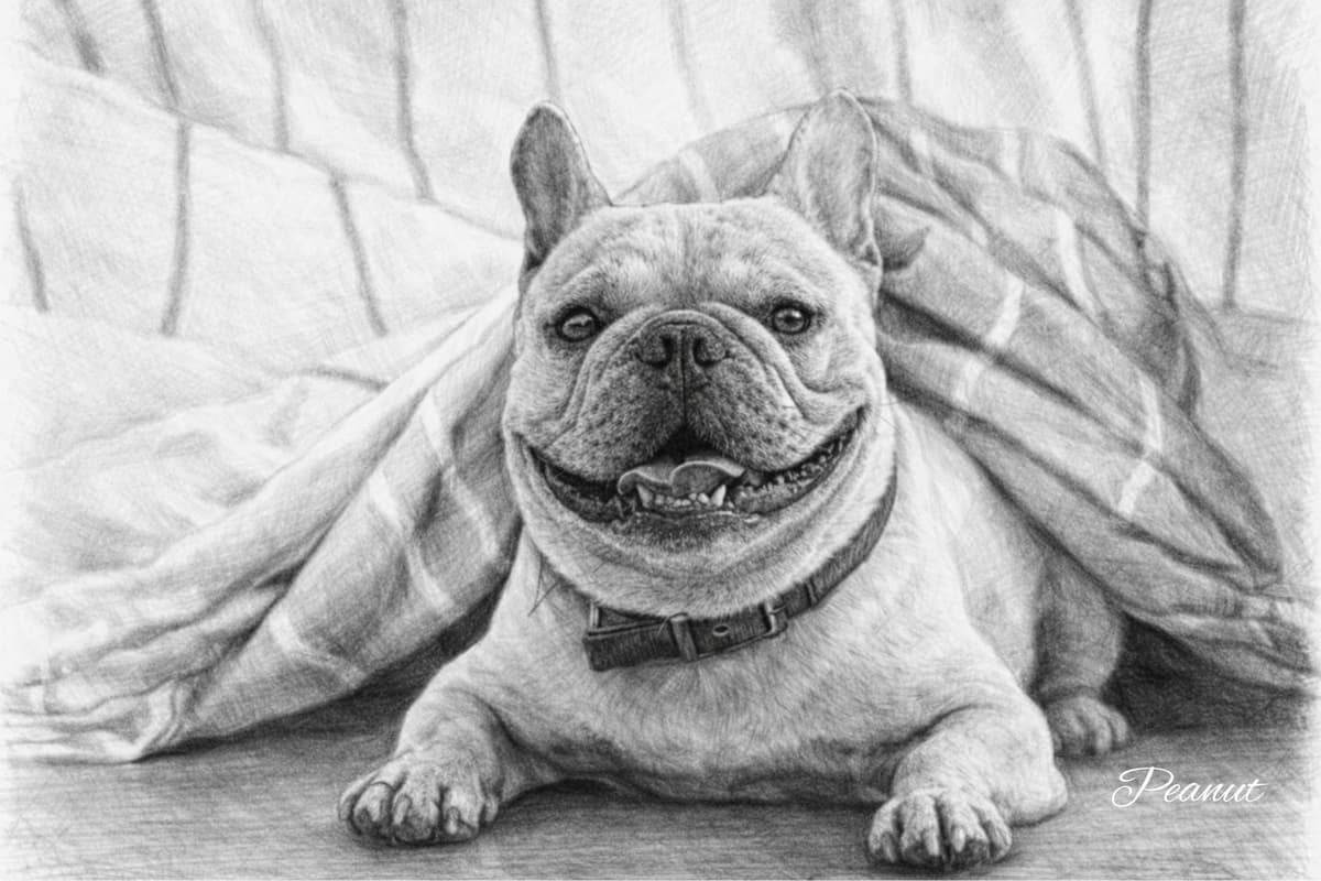 A wide black and white sketch of two dogs running in a field.